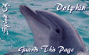 dolphspguard
